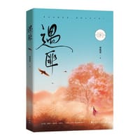 书籍 遇匪的封面