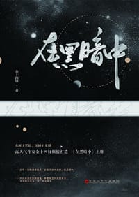 书籍 在黑暗中的封面