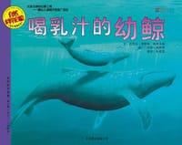 喝乳汁的幼鲸