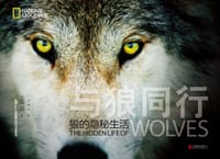与狼同行 - [美] 吉姆·达彻