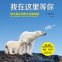 我在这里等你