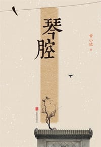 书籍 琴腔的封面