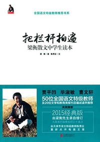 书籍 把栏杆拍遍的封面