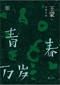 书籍 青春万岁的封面