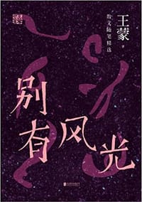 书籍 别有风光的封面