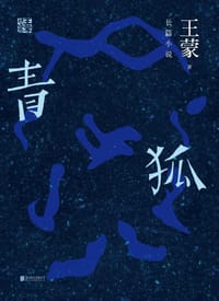 书籍 青狐的封面