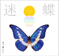 迷蝶