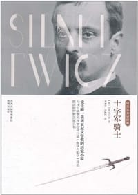 书籍 十字军骑士的封面