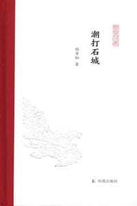 书籍 潮打石城的封面