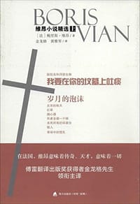 维昂小说精选（上）