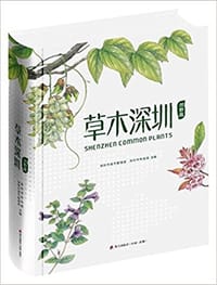 草木深圳