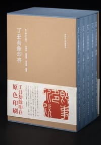 书籍 丁丑劫余印存的封面