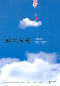 书籍 我欢就好的封面