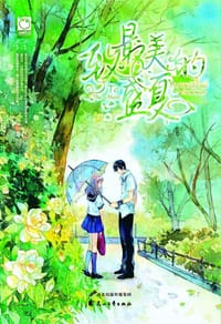 书籍 致最美的盛夏的封面