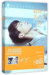 书籍 我终于失去了你的封面
