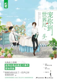 书籍 宠你到世界尽头的封面