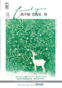 书籍 我不知会遇见你的封面