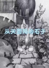 从天而降的石子 - [日] 盐谷真实子