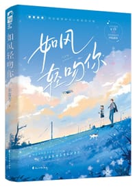 书籍 如风轻吻你的封面