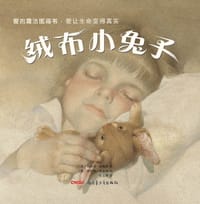 绒布小兔子 - (美)玛格丽·威廉斯 著