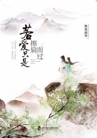 书籍 若爱只是擦肩而过的封面