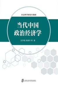 当代中国政治经济学