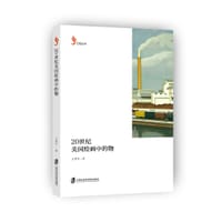 20世纪美国绘画中的物