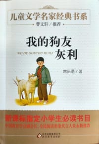 书籍 我的狗友灰利的封面