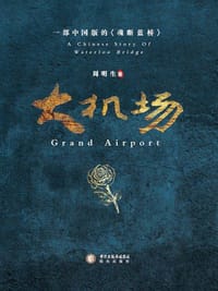 书籍 大机场的封面