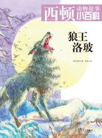 书籍 狼王洛玻的封面