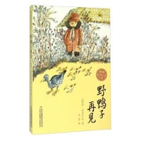书籍 野鸭子再见的封面