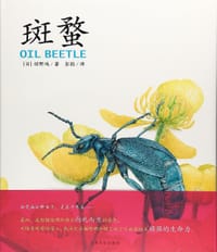 斑蝥