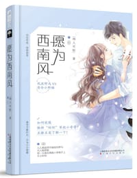 书籍 愿为西南风的封面