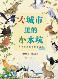 大城市里的小水坑 - 邰明姝