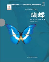 书籍 蝴蝶的封面