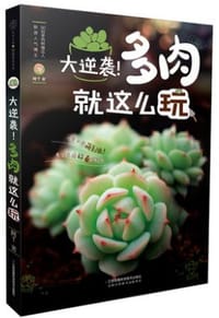 大逆袭多肉就这么玩 - 阿T