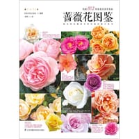 蔷薇花图鉴