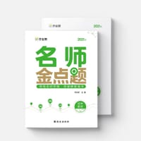 书籍 作业帮 名师金点题.初中数学的封面