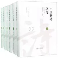 中国新诗总论