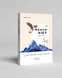 中国民间故事丛书：阿里和他的白鸽子 - 祁连休