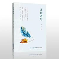 书籍 凡世遇见的封面