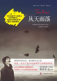 书籍 从天而落的封面
