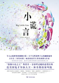 书籍 小谎言的封面