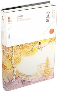书籍 小城池的封面