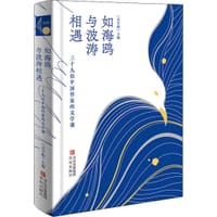 如海鸥与波涛相遇