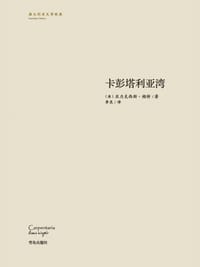 书籍 卡彭塔利亚湾的封面