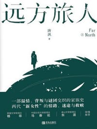 书籍 远方旅人的封面