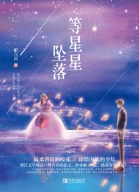 书籍 等星星坠落的封面