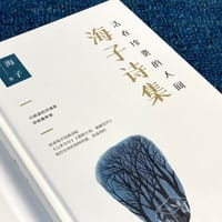 活在珍贵的人间：海子诗集 - 无名图书