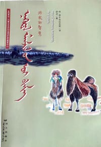 游牧的智慧